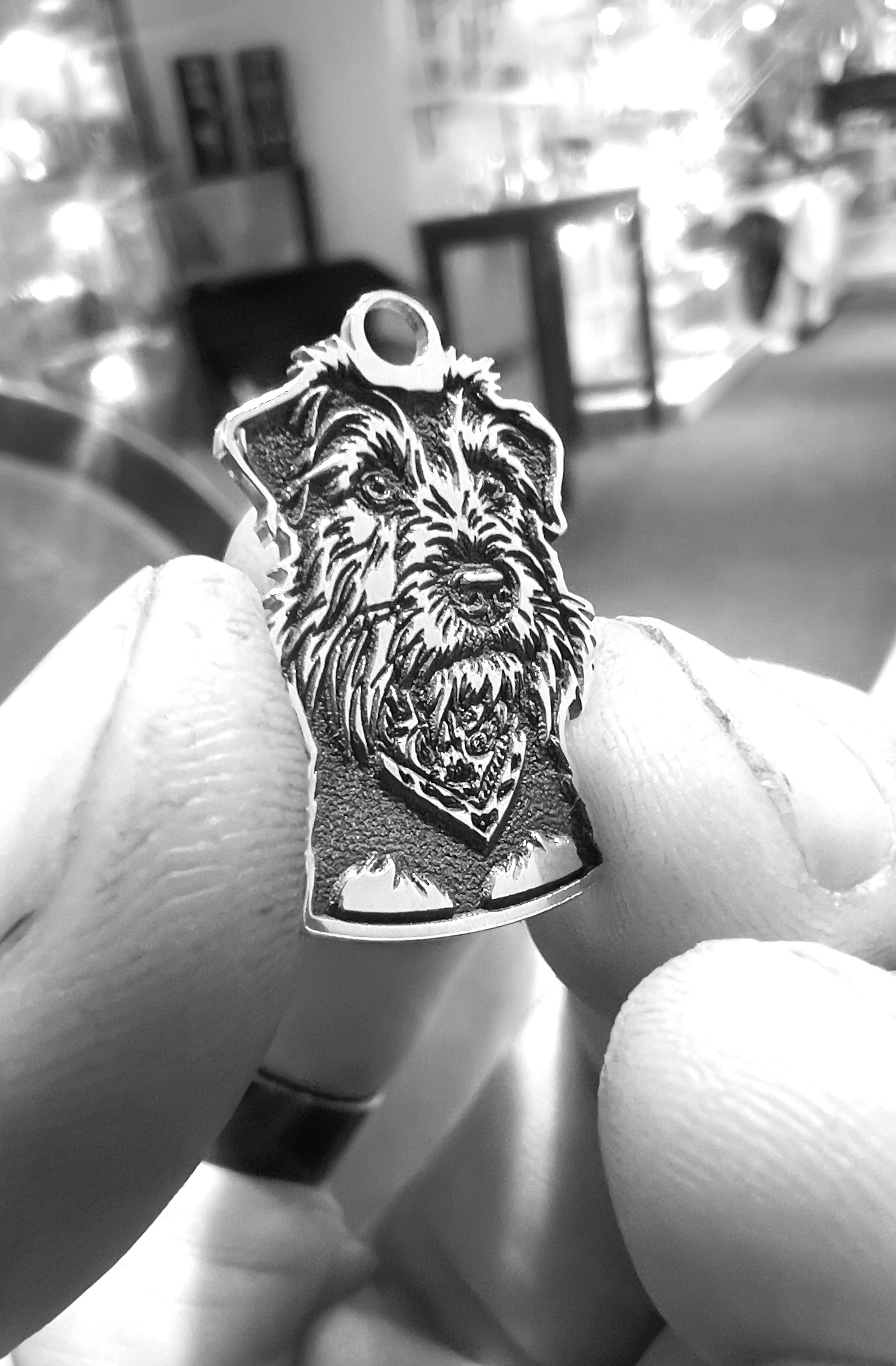 Silverpet
